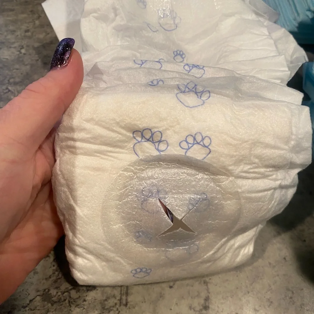 Doggy Diapers Size M & Potty Pads